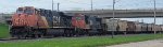 CN 2254 CN 5607